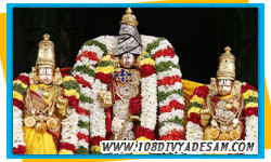 divyadesams tour operators 22 thondainadu divyadesa yatra